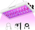 Upgraded BW2000 LED Grow Lights Double Chips Full Spectrum with 10ft Cable for Greenhouse and Indoor Plant Veg and Flower Growing [White]