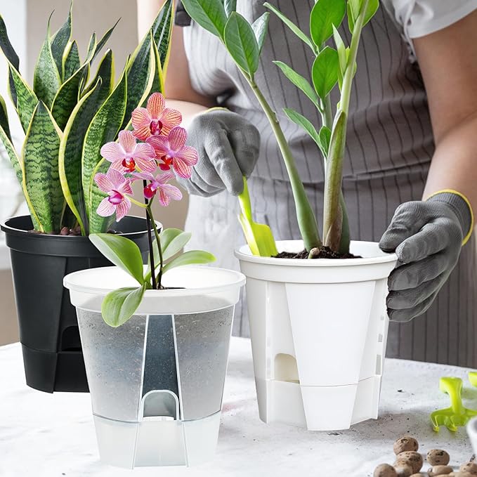 Plant Pots 6 inch Set of 5, Self Watering Pots for Indoor Outdoor, Self Watering Planters Flower Pots with Drainage Hole and Saucer Reservoir (Clear)