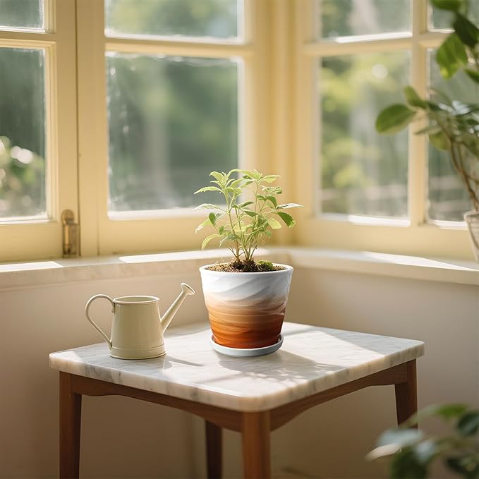 6 Inch Plant Pot,Ceramic Planter with Drainage and Saucer,Ceramic Pots for Plants,Indoor Plant pots,planters for Indoor Plants(6.7 in Diameter,2 Pack)