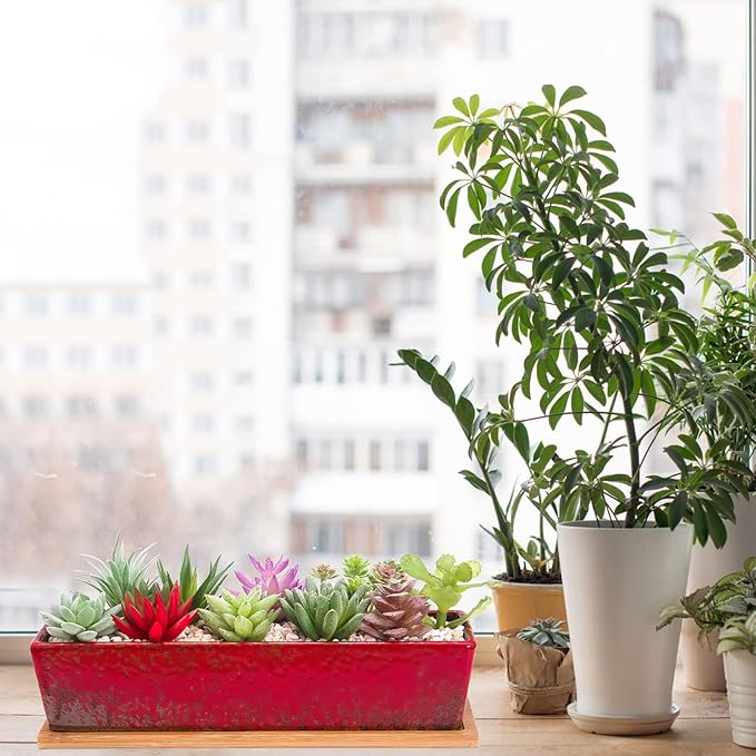 ARTKETTY Succulent Pots - 12.1 Inch Large Succulent Planters with Drainage Tray, Long Rectangle Ceramic Pot for Indoor Cactus/Succulent Plants Shallow Bonsai Window Box for Home Garden Decor