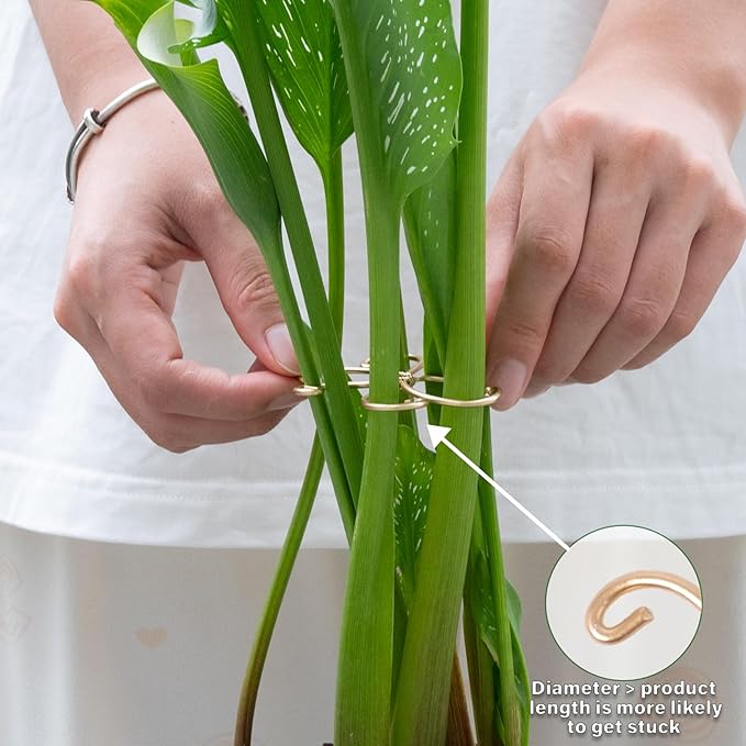 Yohsnor Monstera Plant Stem Support Set - 5 Durable Stabilizers (2.75"x2.75") for Indoor Plants, Leaf Holder & Cactus Stake - Keep Monstera Healthy & Upright - Ideal Gift for Plant Lovers