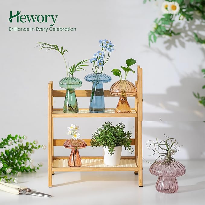 Hewory Glass Mushroom Propagation Stations: Set of 5 Unique Propagation Jars Glass Planter for Indoor Plants Home Decor - Colorful Mushroom Vase Christmas Birthday Gifts for Plant Lovers Women Girls