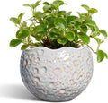 4 Inch Plant Pots - Ceramic Flower Pot for Indoor Outdoor Plants, Small Plant Pot with Drainage Hole and Plug, Round Planter, Unique Plant Pots, Home Decor, Gardening Gifts for Women, Grey