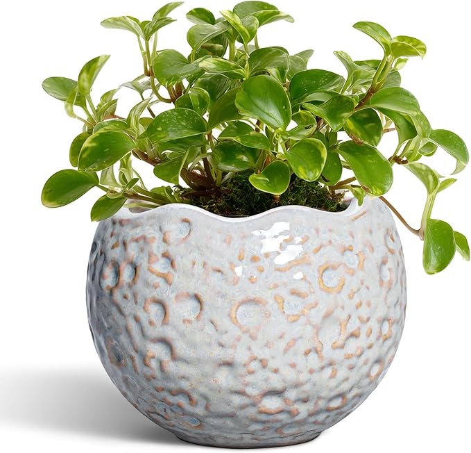 4 Inch Plant Pots - Ceramic Flower Pot for Indoor Outdoor Plants, Small Plant Pot with Drainage Hole and Plug, Round Planter, Unique Plant Pots, Home Decor, Gardening Gifts for Women, Grey