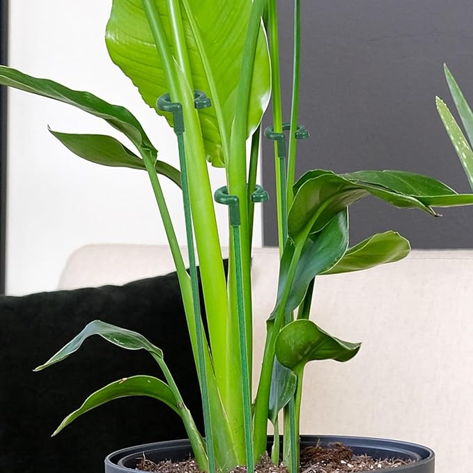 Pack of 30 Small Plant Stakes for Indoor Plants 6.7 Inches Single Stem Plant Support Stakes for Phalaenopsis/Orchid Flower/Succulent