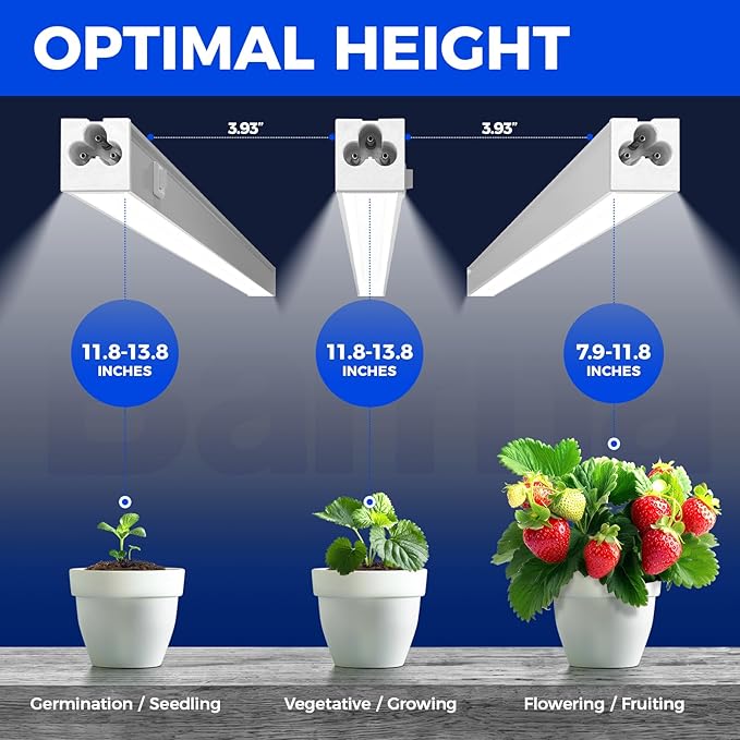 Barrina T5 Grow Lights for Indoor Plants, 1ft Plant Lights for Indoor Growing, 5000K White Full Spectrum Grow Light, Individual Switch, T5 Grow Light Strip, Plug and Play, 8-Pack