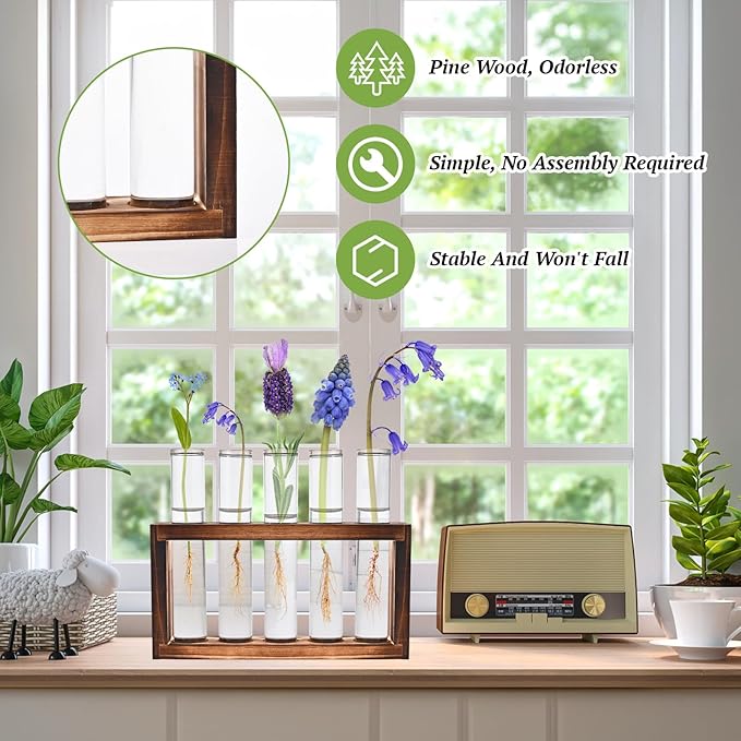 Tigvio 2pcs Desktop Glass Plant Propagation Station with 10 Test Tubes in Wooden Stand - Hydroponic Plants Cutting Office Home Decoration and Garden Decor Terrarium (10 Tubes)