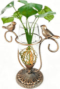 Glass Propagation Vases for Plants, Vintage Hydroponic Plant Propagation Station Terrarium, Retro Bird Gardening Gifts for Women Men Plant Lovers (Gold)
