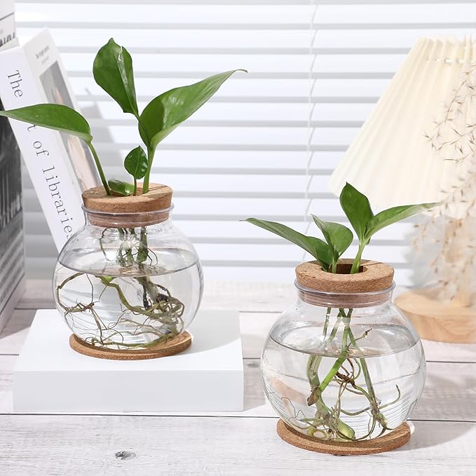 Baderke 9 Packs Propagation Vases for Plants Plastic Plant Propagation Station with Hole Lid and Cork Coasters Plant Growing in Water Hydroponic Home Office Table Decoration(Fish Bowl Style)