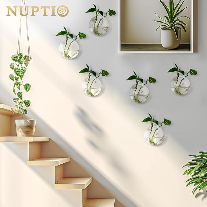 NUPTIO Wall Hanging Planters Terrarium: 12 Pcs Clear Glass Wall-Mounted Vases for Indoor Office Garden Living Room - Oblate Plant Pots Hydroponic Containers Propagation Stations for Flowers