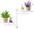 YQSLYSF Window Rotating Plant Stand Shelf Indoor White Metal Floating Shelves 2-Tier Wall Mount Plant hanger Holders for Wall Planter Modern Home Decor window sill gifts