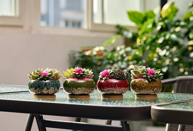 Cute Ceramic Succulent Garden Pots, Planter with Drainage and Attached Saucer, Set of 5 -Plants Not Included (Round+White Border)