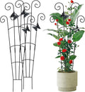 Metal Garden Stake for Potted Climbing Houseplants Supported Indoor Outdoor Metal Plant Indoor Stackable Plant Houseplant Small Supported for Potted