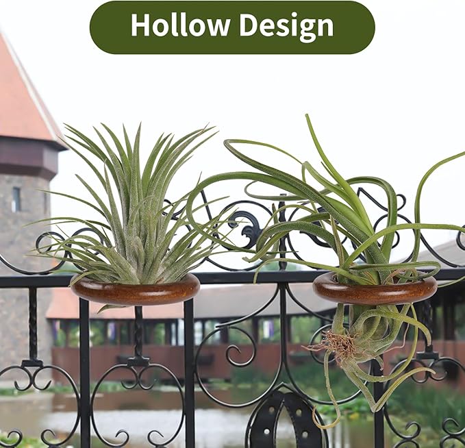 6 Pack Air Plant Holder Magnet Wooden Air Plant Display Stand Small Hanging Planter Wall Mount Holder for Live Tropical Tillandsia Fridge & Home Office Decoration Plants Not Included (6, Dark Walnut)