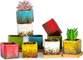 Set of 10 Succulent Pots with Drainage Trays, 2.1 Inch Ceramic Pots for Indoor Flower Plants, Small Square Cactus Planter Pots Bulk for Garden Home Desk Windowsill Decor