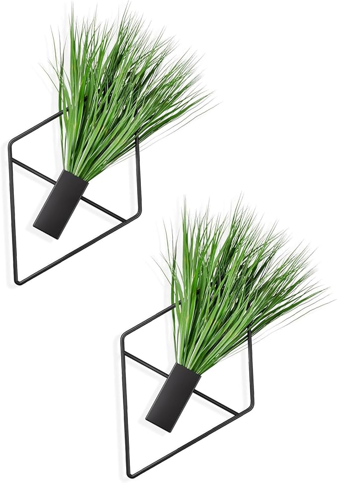 2pack Modern Geometric Wall Mounted Plant Holders for Indoor Decoration Iron Art Hanging Flower Pots Wall Decoration Hanging Planter