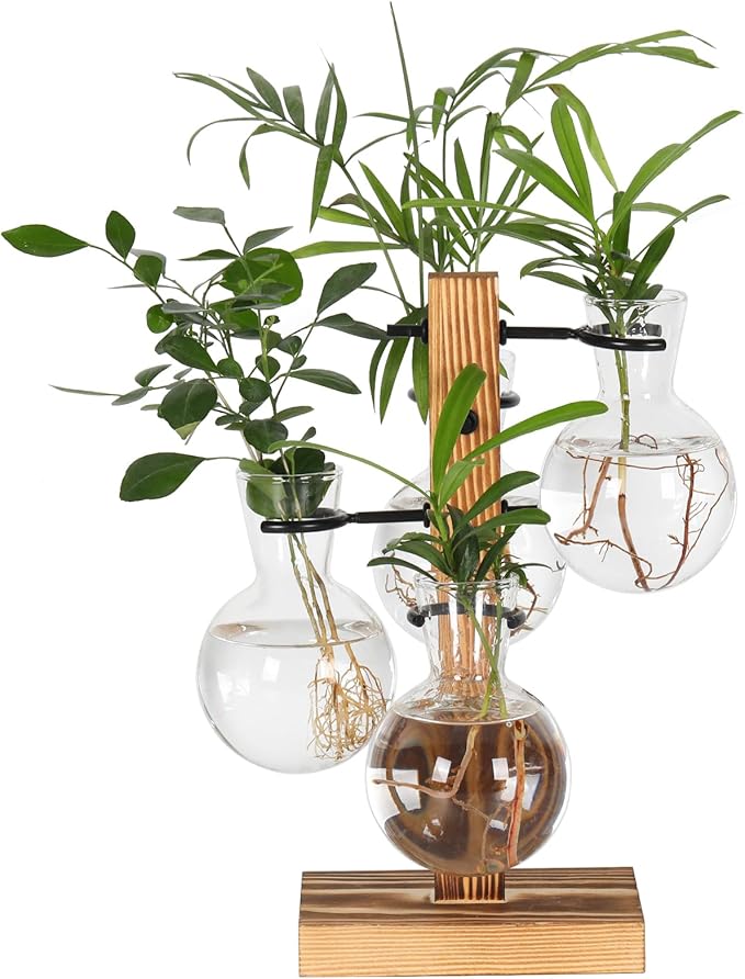 Plant Propagation Station with 4 Glass Vases & Wood Stand, Hydroponic Air Planter for Indoor Plants, Unique Gardening Gift for Women & Plant Lovers, Desktop Terrarium for Home Decor