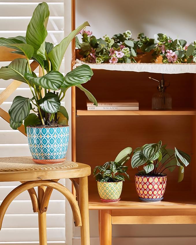 Metahom Ceramic Plant Pots, 5.8 Inch Flower Pots for Indoor Plants, Colorful Planters with Drainage Hole & Saucer, Garden Planters for Succulent, Orchid, Cactus, Home Decor, Set of 4