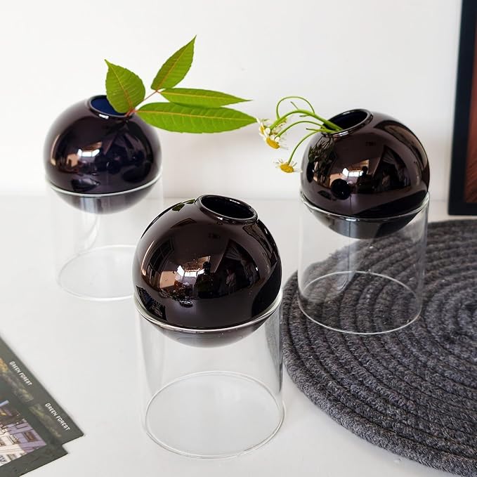 3-Pack Modular Black Glass Vase Set | Minimalist Aesthetics Bud Vase & Desktop Glass Planter with Clear Stand, Small Flower Vase