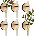 Plant Propagation Station,Wall-Mounted Hydroponic Propagator System Holder | Test Tubes Vase Planter - for Home Office Balcony Terrace Gardening Window Water Women Men Mom