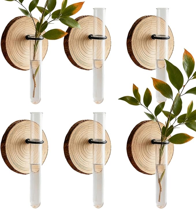 Plant Propagation Station,Wall-Mounted Hydroponic Propagator System Holder | Test Tubes Vase Planter - for Home Office Balcony Terrace Gardening Window Water Women Men Mom