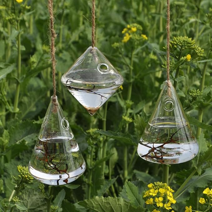 Geometric Glass Hydroponic Planter Set of 3 Wall Mounted Hanging Vases for Indoor Home Décor and Plant Propagation