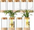 Glass Plant Propagation Stations, Propagation Vases for Plants with Ambient Light Base, Hydroponic Vase for Home & Office Windowsill Tabletop Decoration Desktop Vases for Living Room, Bedroom (9)