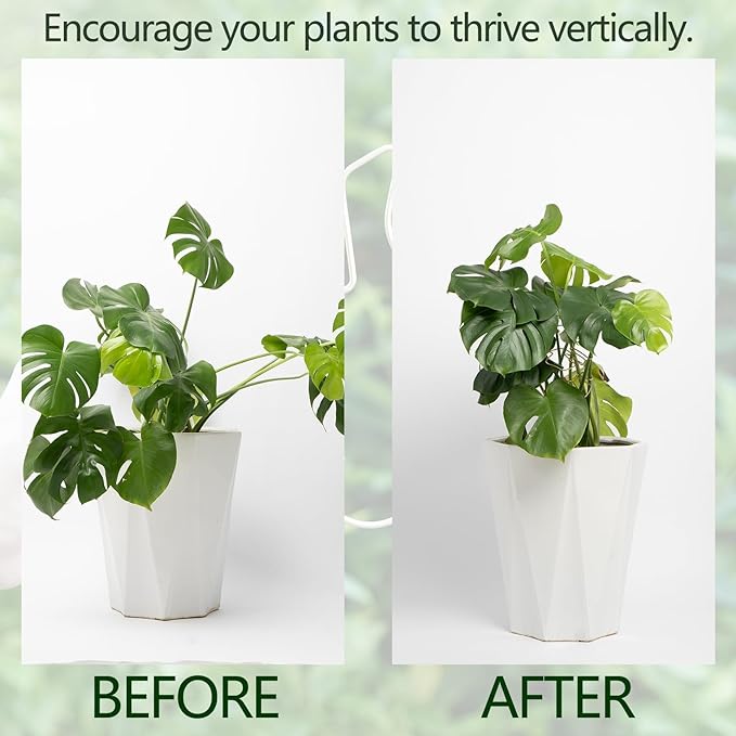 Yohsnor Monstera Stem Support - 5-Piece Durable Plant Support System for Monstera & Turtle Shell Plants -Premium -Quality Leaf Clamps -Easy-to-Use Indoor Garden Stabilizers for Healthy Growth