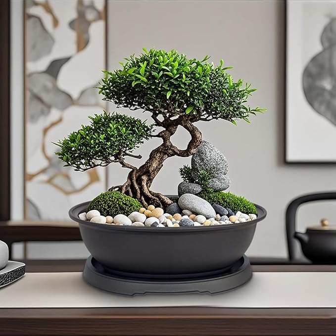 MUZHI 3 Pack Oval Bonsai Pot with Drainage Tray, Matte Finish Plastic Bonsai Growing Planters with Tools for Home Garden Plant Container (9.1" Large)