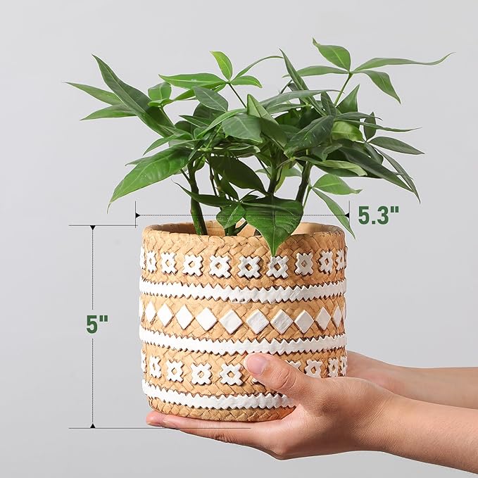 vomiceak Concrete Rattan-Style Plant Basket Planter, 5" Plant Pots Indoor Outdoor with Drainage Hole, Boho Flower Pot for Succulents, Herbs, Modern Farmhouse Decor, Ideal Gift for Plant Lovers
