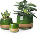 3 Piece Ceramic Small Planter for Indoor Plants - Succulent Plant Pots with Drainage Holes and Saucers - 3.4/4.7/6.1 inch Modern Decorative Small Flower Pots for Bamboo, Succulents and Herbs, Green
