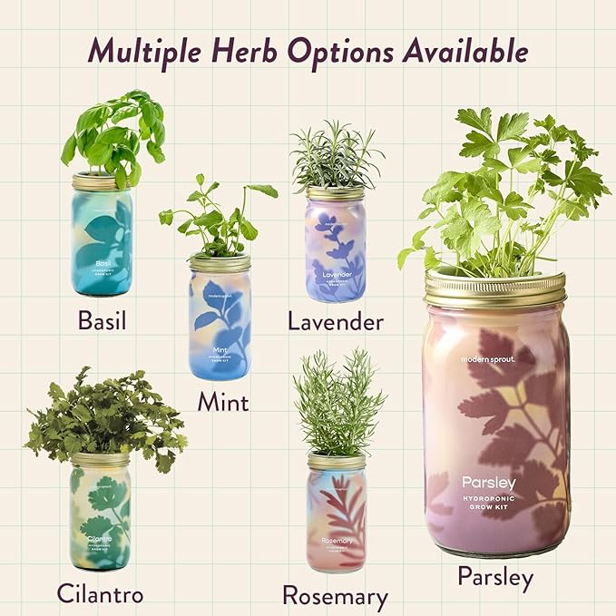 Modern Sprout Mason Garden Jar - Self-Watering Hydroponics Growing System Kit with Organic Herb Seeds - Jar Planter for Indoor Herb Garden - Seed Starter Kit - Home Decor & Gifting - Parsley