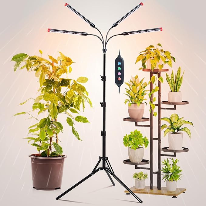 FRGROW 4Head Grow Light with Stand for Tall Indoor Plants, Bonsai Tree, Bright Full Spectrum Plant Growing Lamps, 4/8/12/16/20H Timer, 36 Watt Power Draw, NO Need Adapter, 360° Gooseneck