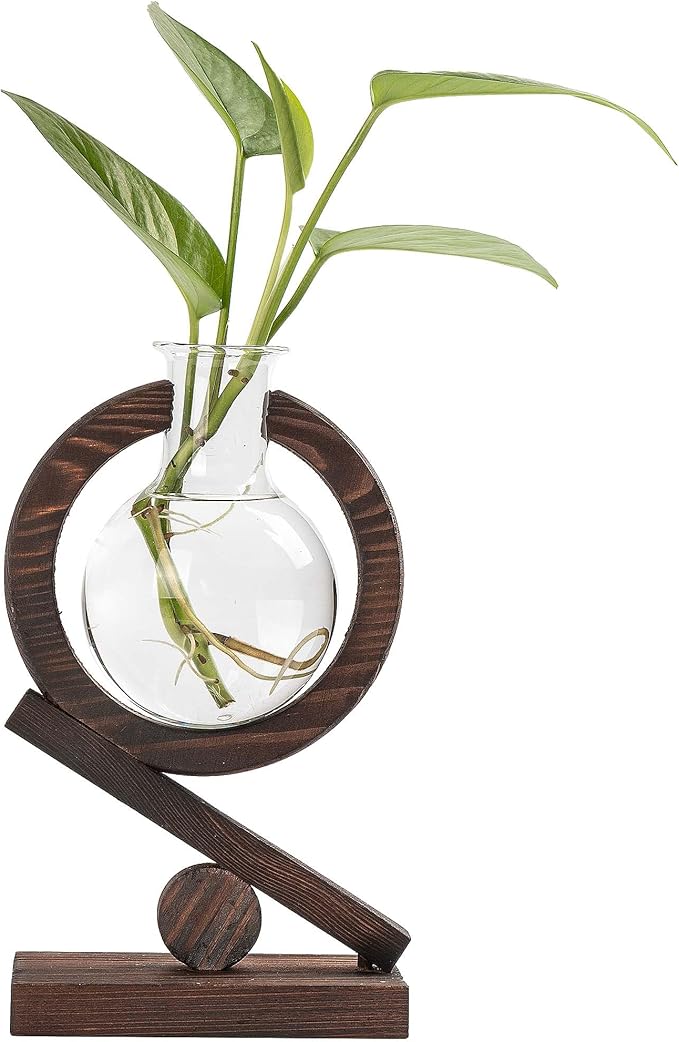 Plant Propagation Station,Planter Terrariums with Wooden Stand and Air Planter Bulb Glass Vase, Birthday Gifts for Home Office Garden Boho Desk Decor (Dark Burnt Wood)