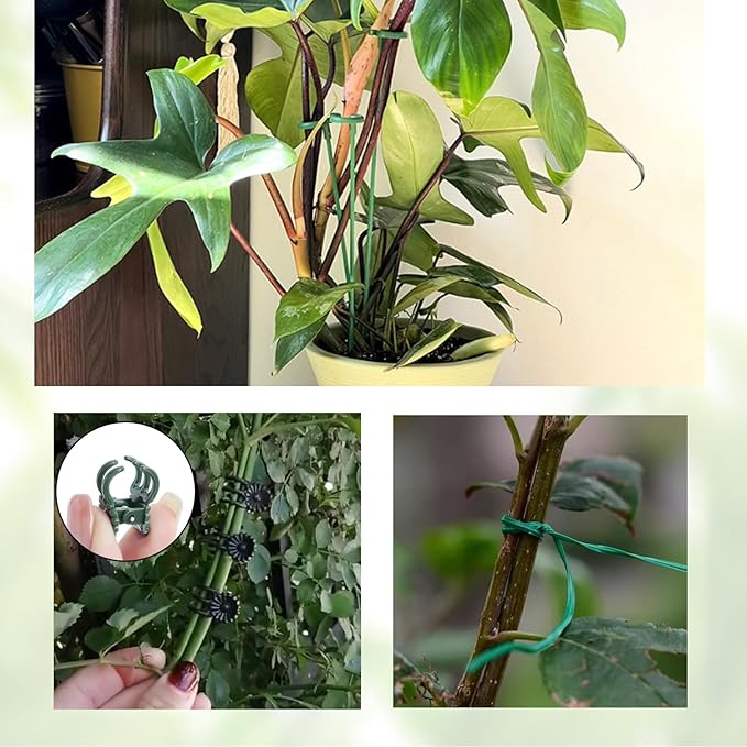 Pack of 30 Small Plant Stakes for Indoor Plants 3 Size 6.7/10.6/14.5/ Inches Single Stem Plant Support Stakes for Phalaenopsis/Orchid Flower/Roses/Chrysanthemum/Succulent(with Clips&Twist Tie)