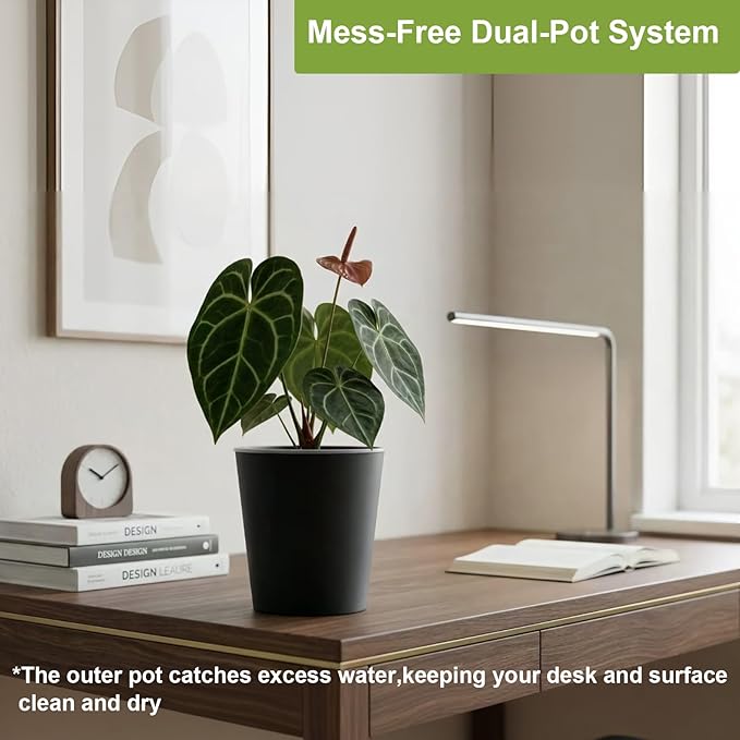 3 Pack of 6in Plastic Cachepot with 6 inch Clear nusery Pot - self Watering Indoor Planter with Drainage for Root Visibility,semi Hydro pots for repotting Orchids,Aroid or Monstera,Black