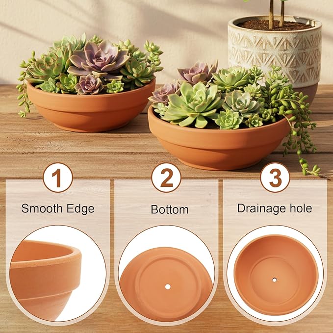 Laergin Terra Cotta Pots, 6.43 Inch Shallow Terracotta Clay Pots with Drain Hole Terra Cotta Plant Pot with Drainage Hole for Indoor/Outdoor Plants, 6 Pack