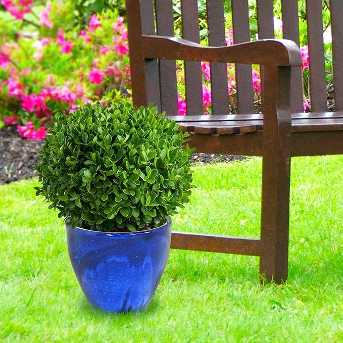 Sunnydaze Large Ceramic Plant Pot - Round Outdoor Glazed Ceramic Planter Pot with Drainage - Resort - Imperial Blue - 13.5"