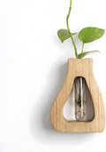 Plant Propagation Station Hanging Stand with Vases for Plants, Wall Hanging Wood Stand, Indoor Plant Pot Air Holder, Window Boxes for Decor, Flowers Holder with Test Tubes