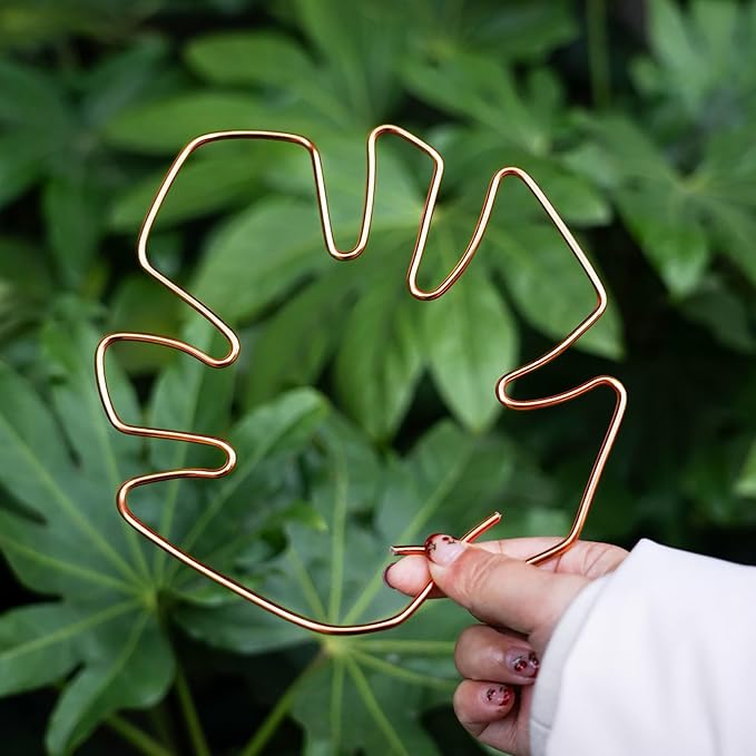 6PCS Plant Stem Support, Copper Monstera Plant Support, Unique Designed Stable Plant Support Stakes for Plants Stabilizer, Turtle Shell Bamboo Clamp Set for Outdoor & Indoor Plants Thriving Growth
