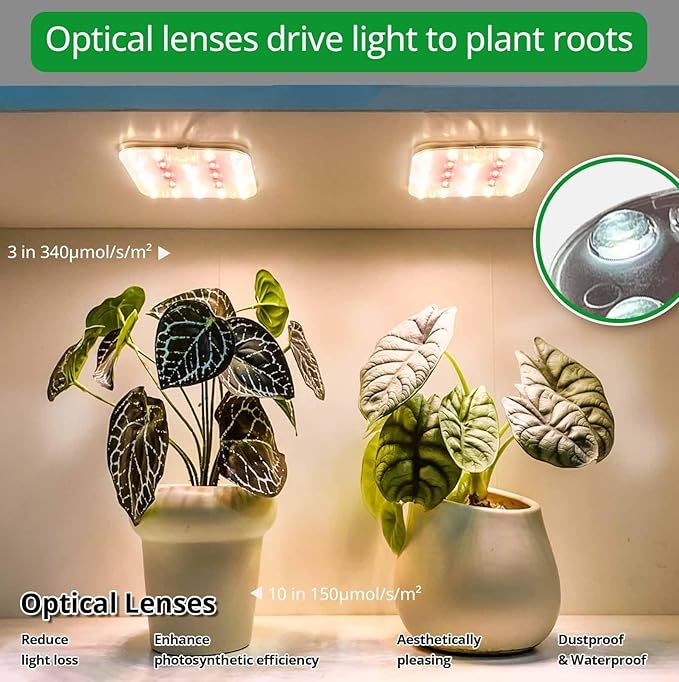 DOMMIA Full Spectrum LED Grow Light for Indoor Plants, 2 Panels 10W with 6/12/16h Timer Dimmable Plant Lights for Flower Veg Plant Growth USB, Warm White, 1-Pack