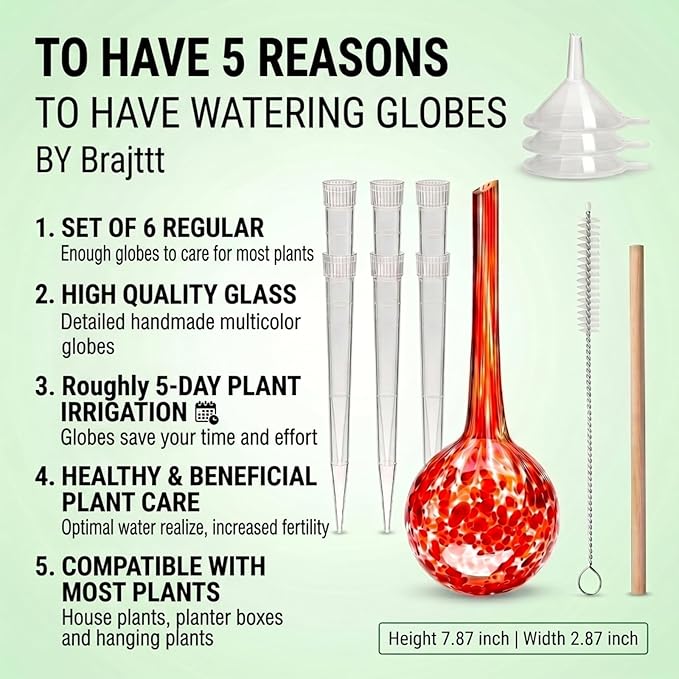 Self Watering Globes, 6 Pack Plant Watering Globes, Glass Automatic Auto Plant Water Bulbs for Indoor & Outdoor Plants,Multicolor Medium, for Daily Use，Vacation Hydration Devices,watering Can Outdoor