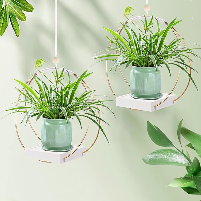 hismocal 2 Pack Hanging Planter Holder for Indoor Plants, Plant Hanger with Sturdy Wood Base,Modern Boho Macrame Wall Ceiling Window Stands(Plants/Pots Not Included)