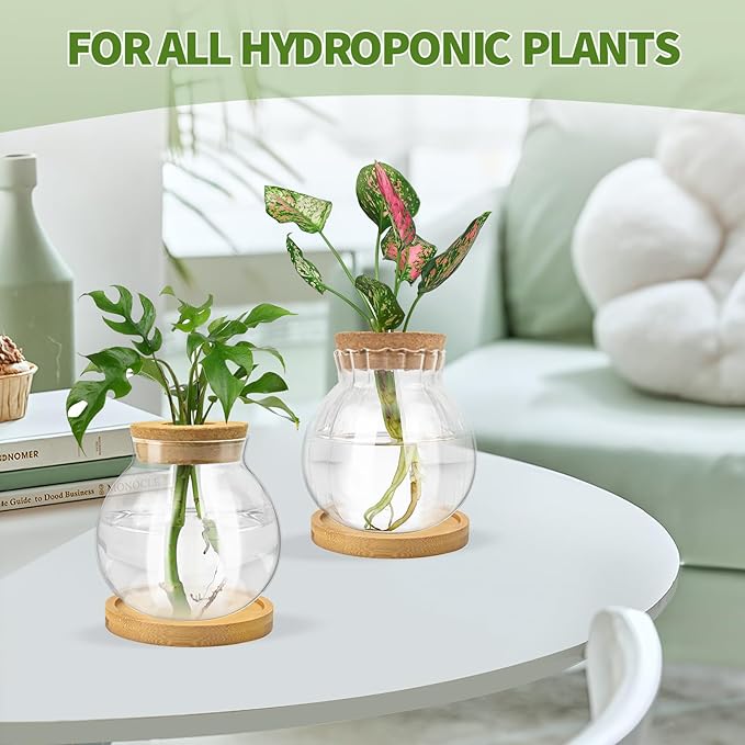 Plant Propagation Station, Water Planting for Plants with Tray & Wooden Saucer, Hydroponics Plants Jars Home Office Desktop Decor, Glass Planters for Indoor Hydroponic Decor