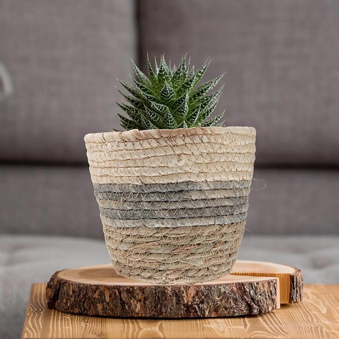 Angoily Round Wicker Plant Basket 2PCS Seagrass Rattan Flower Plant Pots Basket Planters Decorative Woven Flowerpots Wastes- Desktop Floor Weaving