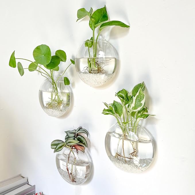 Kingbuy Wall Hanging Glass Planter Propagation Station - 2 Pack Oblate Globe Wall-Mounted Vases for Indoor Hydroponic Air Plants Bathroom Living Room Office Decor Gift for Women, Mom, Plants Lovers