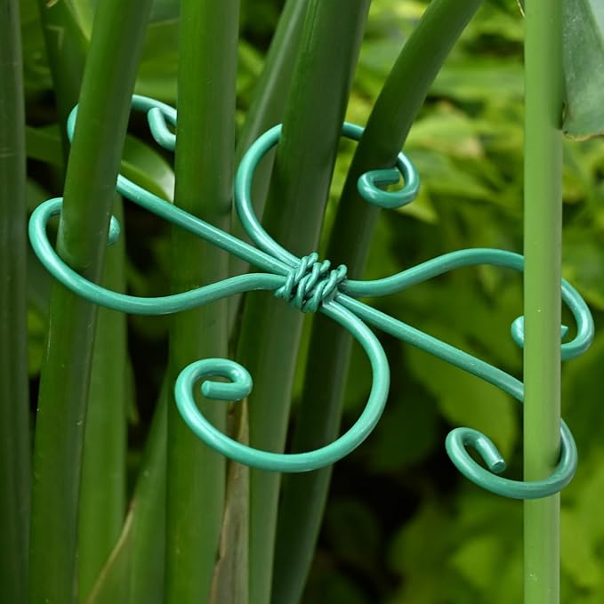 Yohsnor 5PCS Monstera Plant Support Hook - 4.1 * 4.4IN, Durable Flexible Stabilizers for Indoor Plants, Metal Stem Supports and Leaf Holders, Easy Tool-Free Operation, Ideal for Fishbone Cactus Care