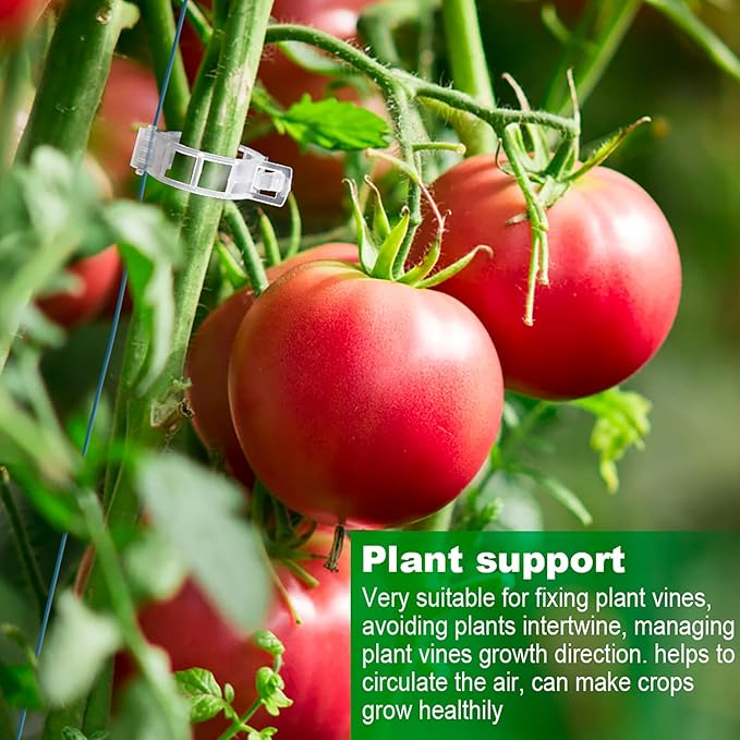 200PCS Plant Support Garden clips, Vegetable Cages and Supports, Garden Trellis for Climbing Vine Plants, Supports Clip for Tomato Grape Melon, Makes Garden Crop to Grow Upright and Healthier