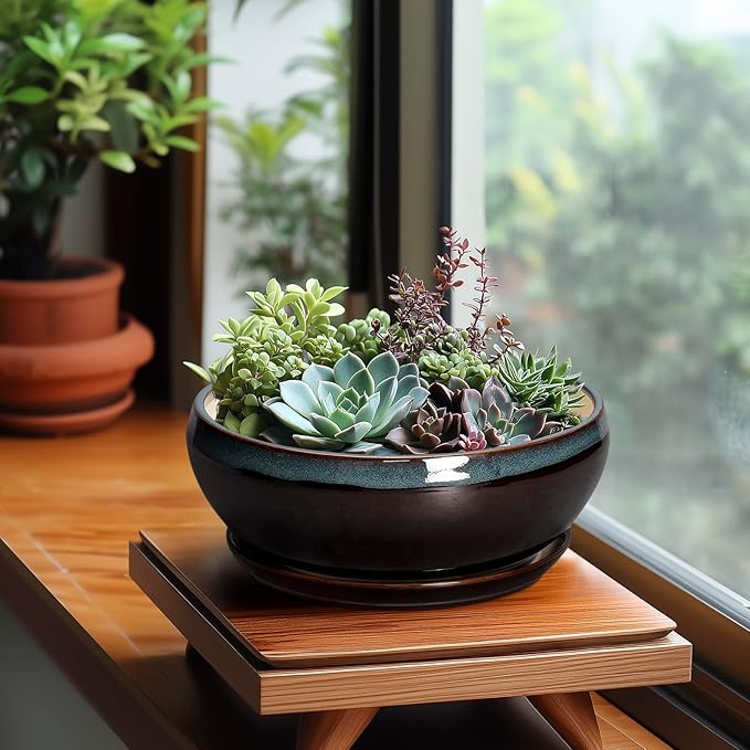 SQOWL Succulent Planters 8 Inch - Ceramic Bonsai Pots with Drainage Hole and Ceramic Saucer, Round Shallow Planter for Indoor Plant, Bowl Planter Outdoor, Desk Decor, Gift for Plant Lover, Blue-Brown
