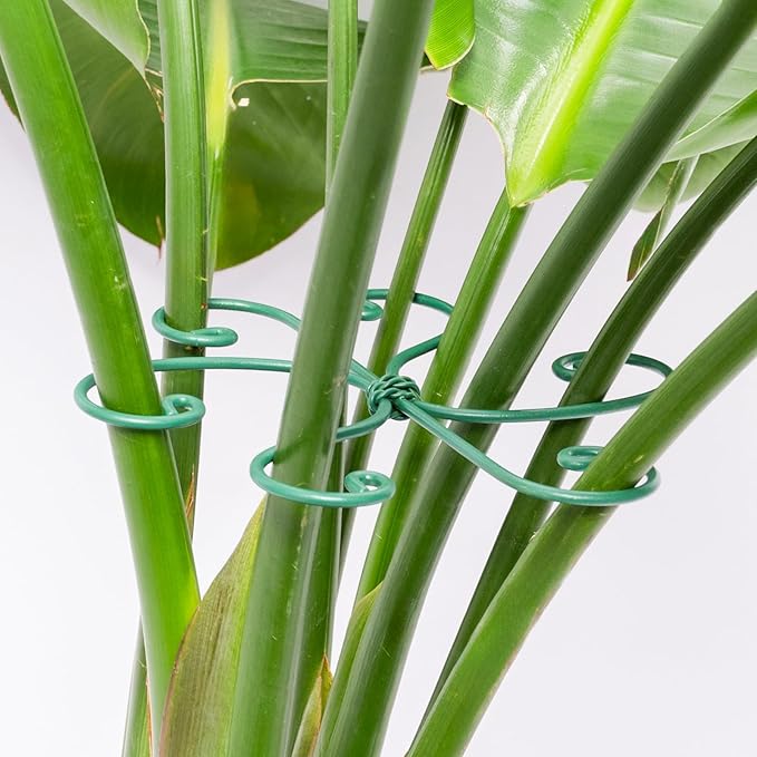 YOHSNOR 5PCS Monstera Plant Support Hook Green, 5.5IN - Durable Metal Stem Support for Indoor Plants, Adjustable & Easy to Install, Ideal for Monstera, Fishbone Cactus, and Decorative Plant Care